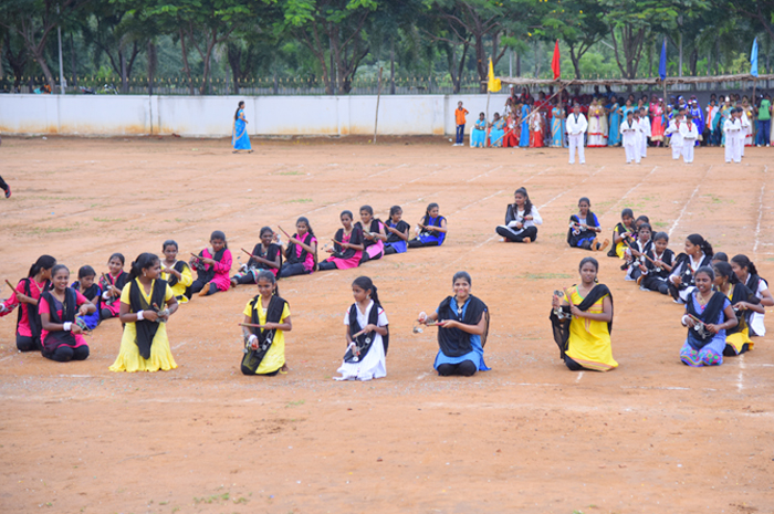 Cricket Practice